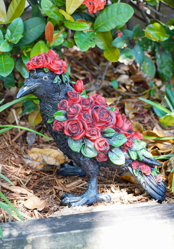 Corvus Rosa | STANDING CROW