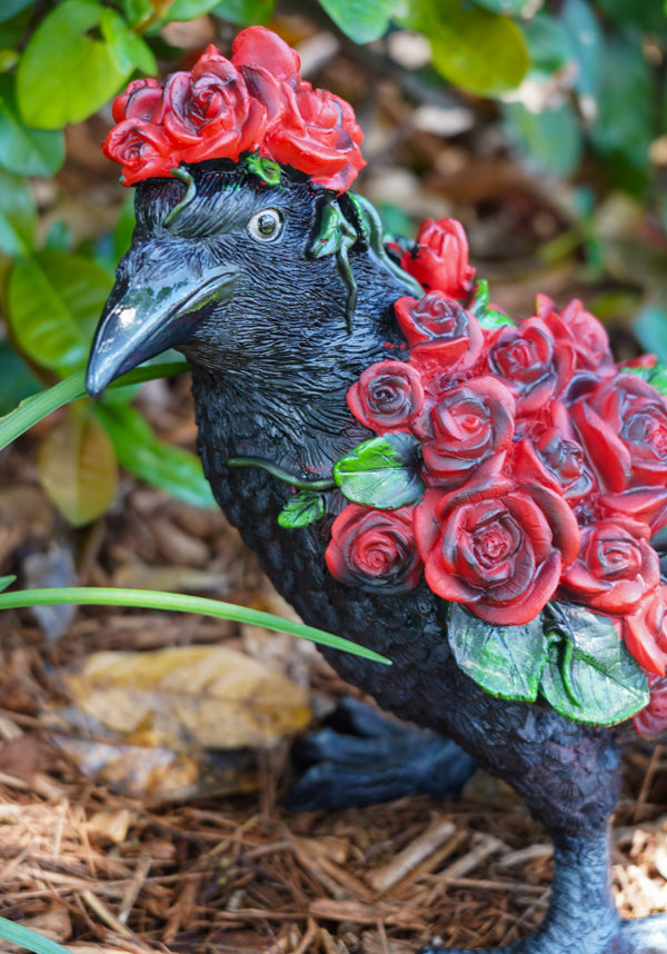 Corvus Rosa | STANDING CROW