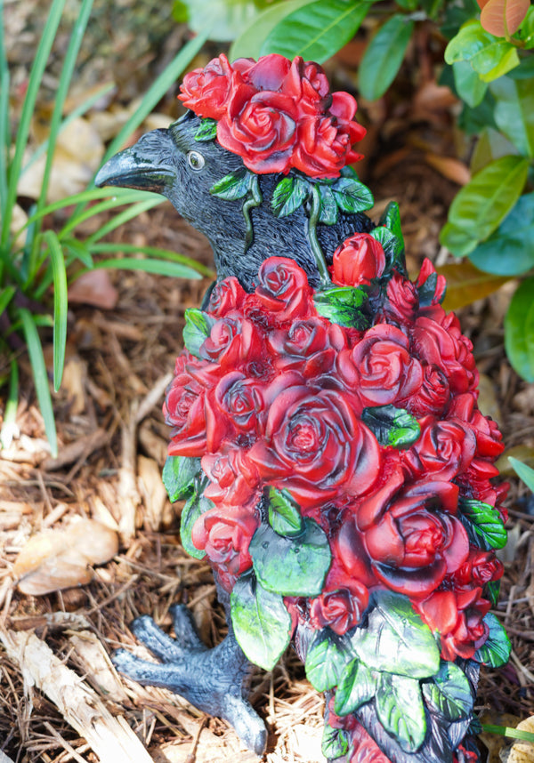 Corvus Rosa | STANDING CROW