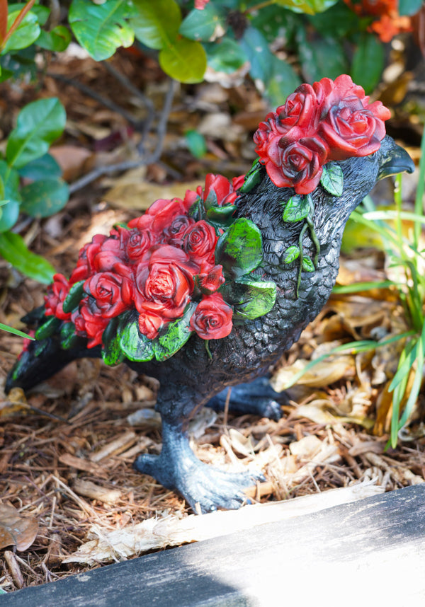 Corvus Rosa | STANDING CROW