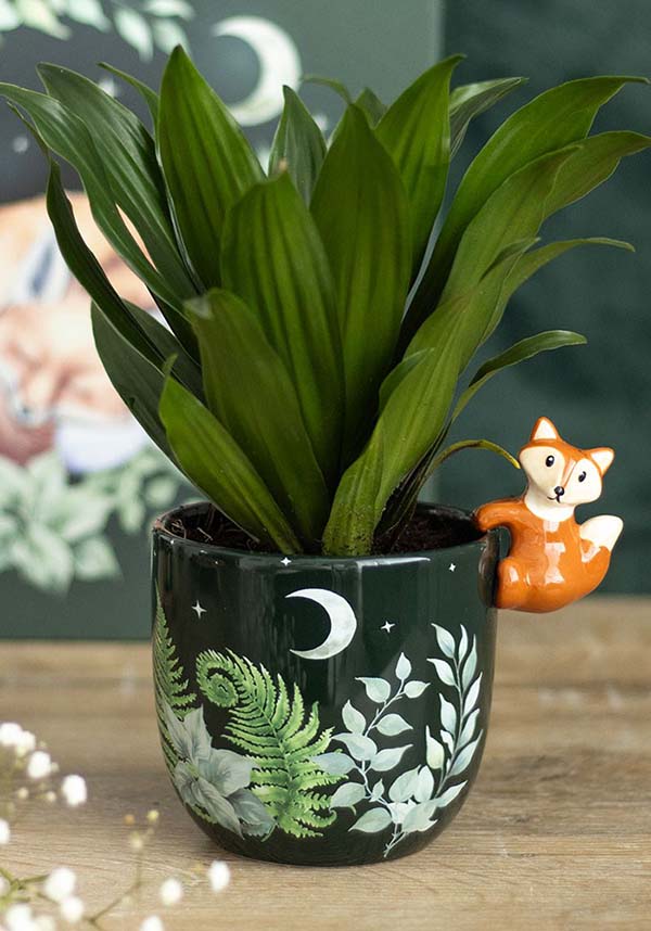 Green Forest | PLANT POT