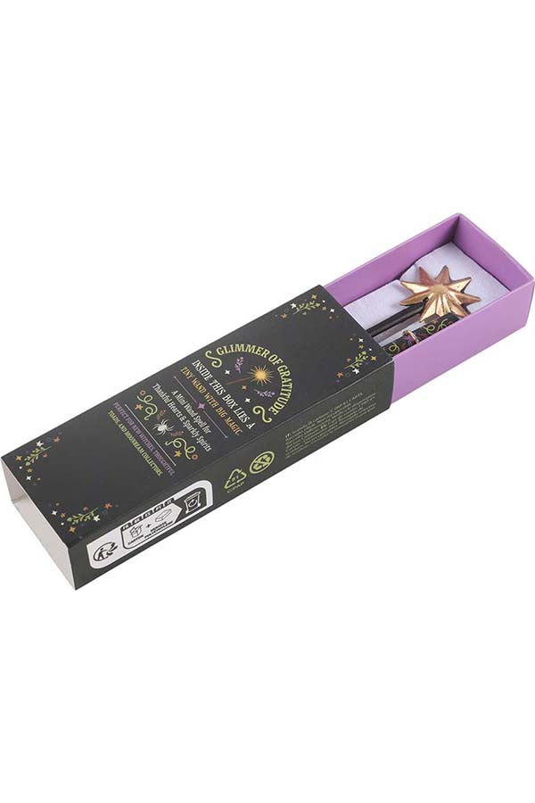 Mini Magic | WAND IN A MATCHBOX