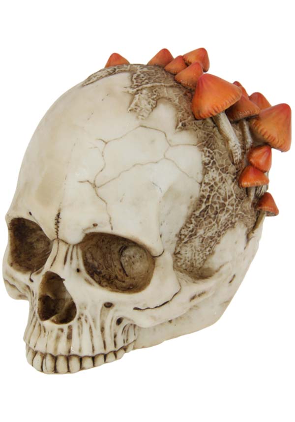 Mushroom Growth | SKULL*