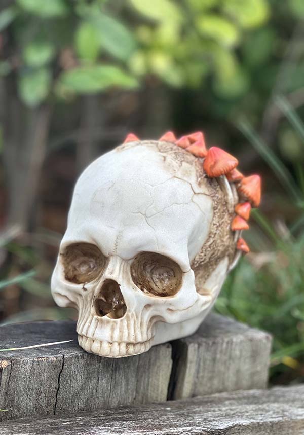 Mushroom Growth | SKULL*