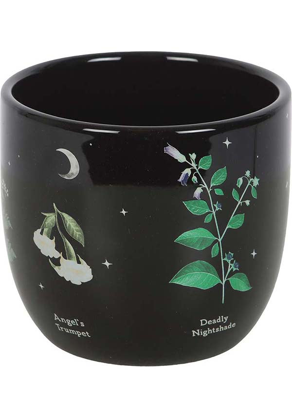 Poisonous Plants | PLANT POT