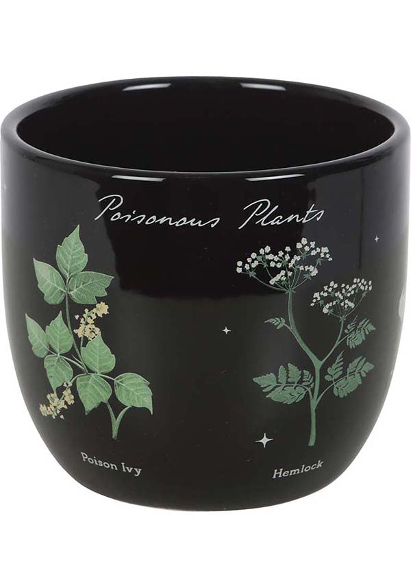 Poisonous Plants | PLANT POT