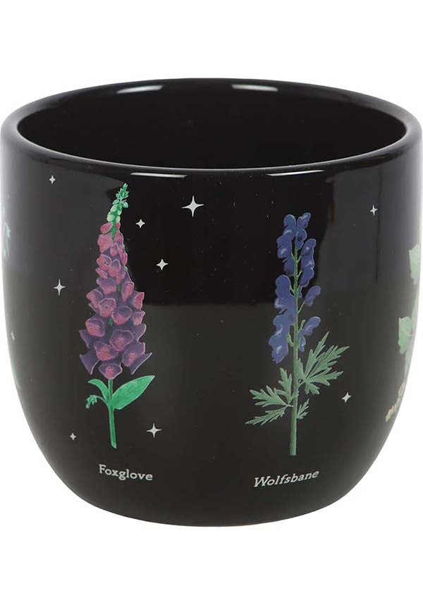 Poisonous Plants | PLANT POT