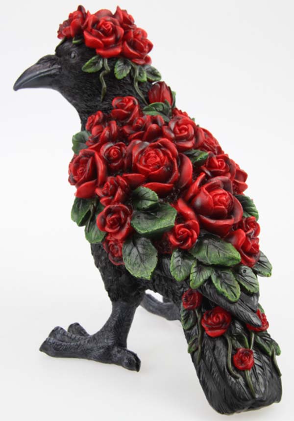 Corvus Rosa | STANDING CROW