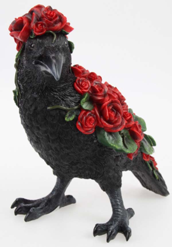 Corvus Rosa | STANDING CROW