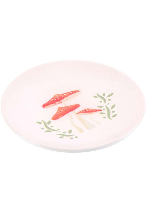 Round Mushroom | TRINKET DISH