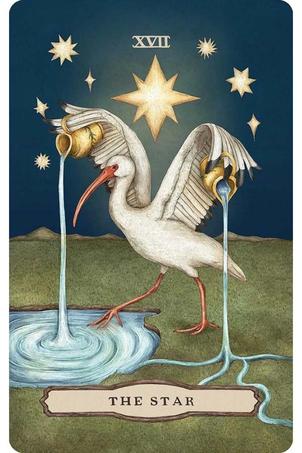 Tarot Of The Woodland Wardens | TAROT CARDS