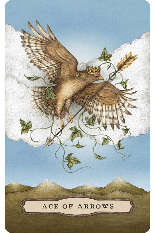 Tarot Of The Woodland Wardens | TAROT CARDS