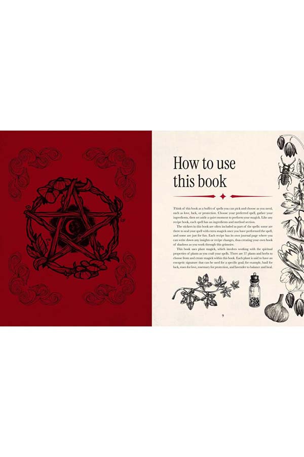 Witch's Magickal | SPELLBOOK