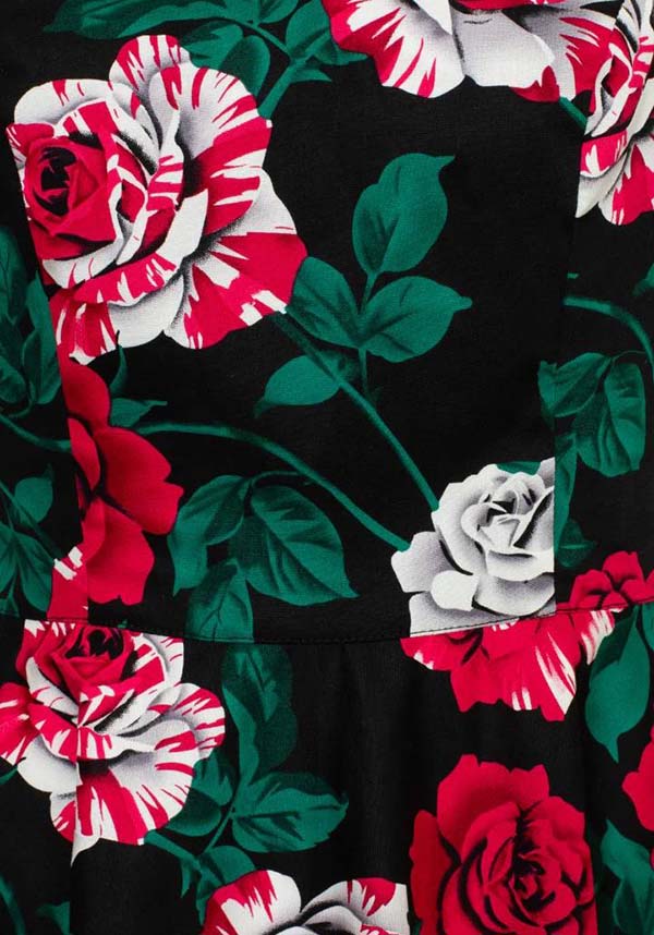 Paint Me Roses | DRESS