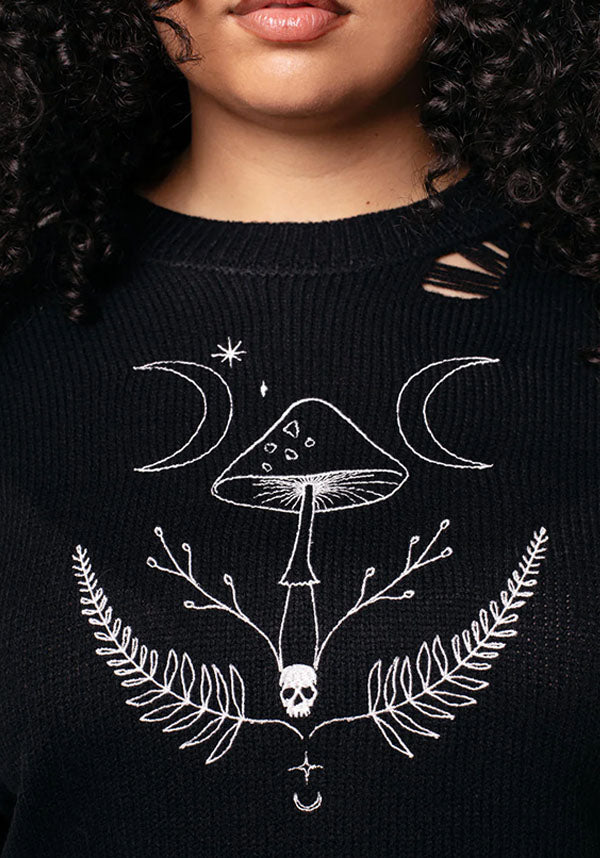 Russula | JUMPER
