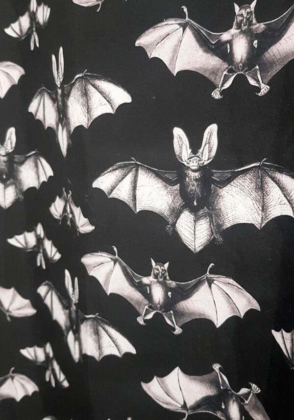 Midnight Flight | BLACKOUT CURTAIN