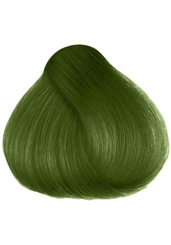 Jorge Moss Green | HAIR COLOUR - Beserk - all, clickfrenzy15-2023, cosmetics, cruelty free, cruetly free, dec22, discountapp, dye, dyes, fp, googleshopping, green, hair, hair color, hair colour, hair colours, hair dye, hair dyes, hair green, hair products, herman, hermans, hermans colour, hermans hair colour, HN8209, labelvegan, R051222, vegan
