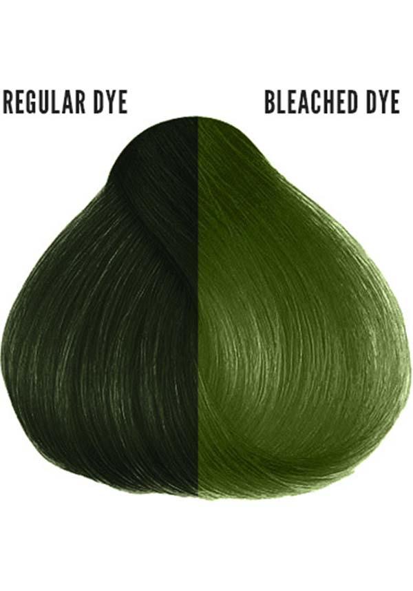 Jorge Moss Green | HAIR COLOUR - Beserk - all, clickfrenzy15-2023, cosmetics, cruelty free, cruetly free, dec22, discountapp, dye, dyes, fp, googleshopping, green, hair, hair color, hair colour, hair colours, hair dye, hair dyes, hair green, hair products, herman, hermans, hermans colour, hermans hair colour, HN8209, labelvegan, R051222, vegan