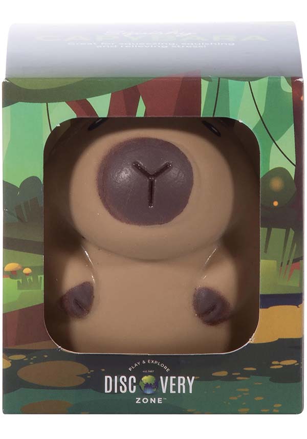 Capybara | SQUISHY*