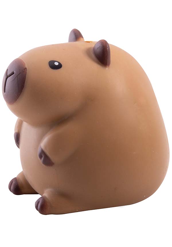 Capybara | SQUISHY*