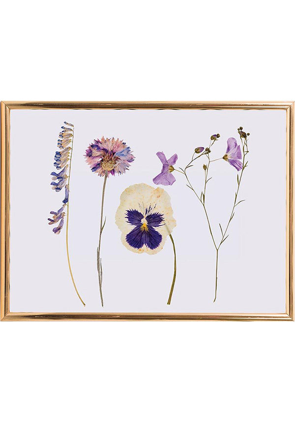 Classic Flower | PRESS