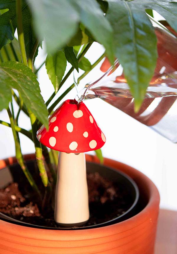 Amanita | WATERING SYSTEM*