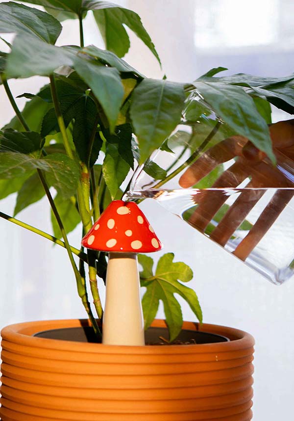 Amanita | WATERING SYSTEM*
