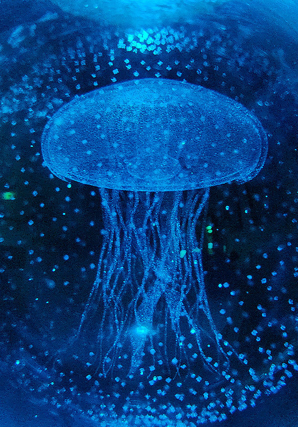 Jellyfish 3D Crystal Ball | LAMP