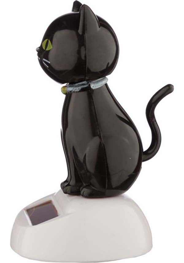 Lucky Black Cat | SOLAR PAL