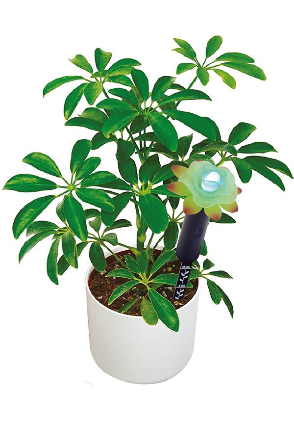 Mayhem UK | FLOWER MOISTURE SENSOR