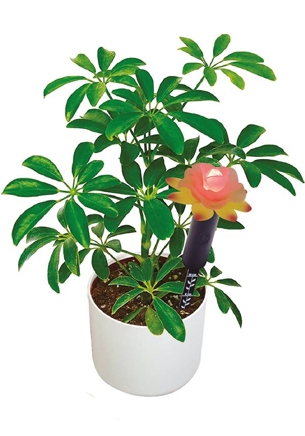 Mayhem UK | FLOWER MOISTURE SENSOR