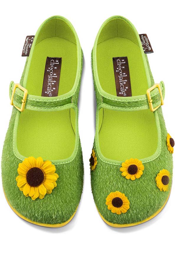 Sunny Field | FLATS**