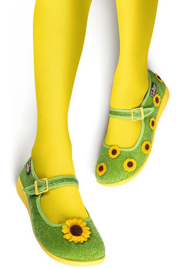 Sunny Field | FLATS**