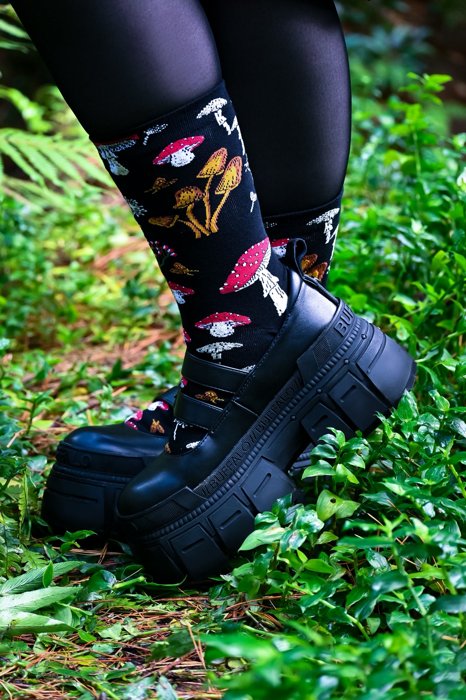 Mushrooms | CREW SOCKS
