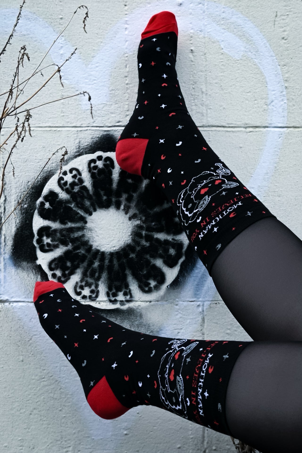 Mothman Believes In You | CREW SOCKS