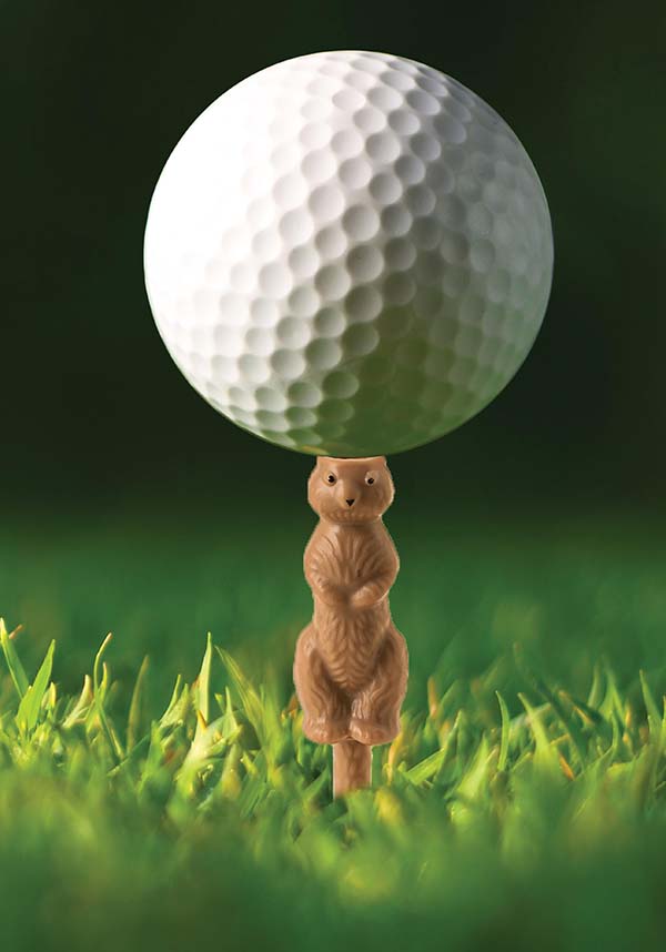 Gopher the Caddy | GOLF TEE*