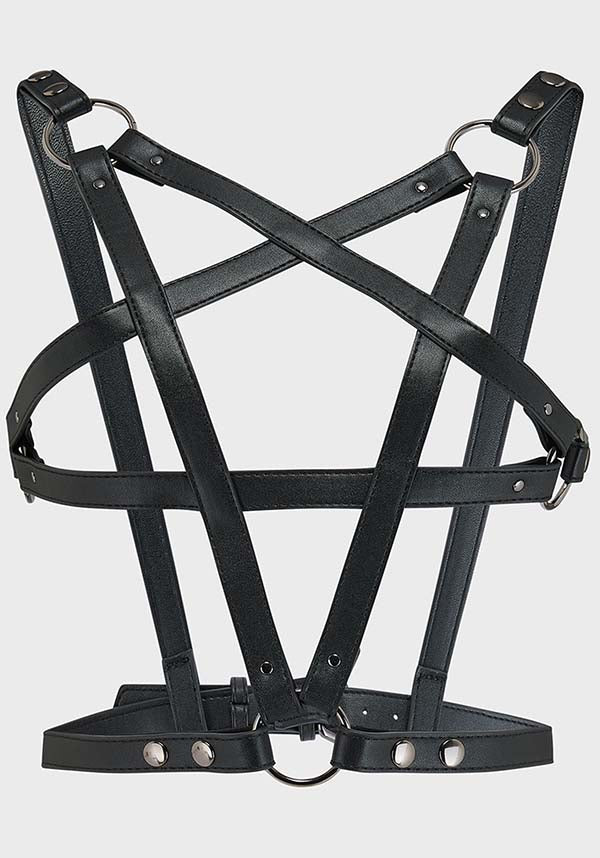 Hex Crest | HARNESS*