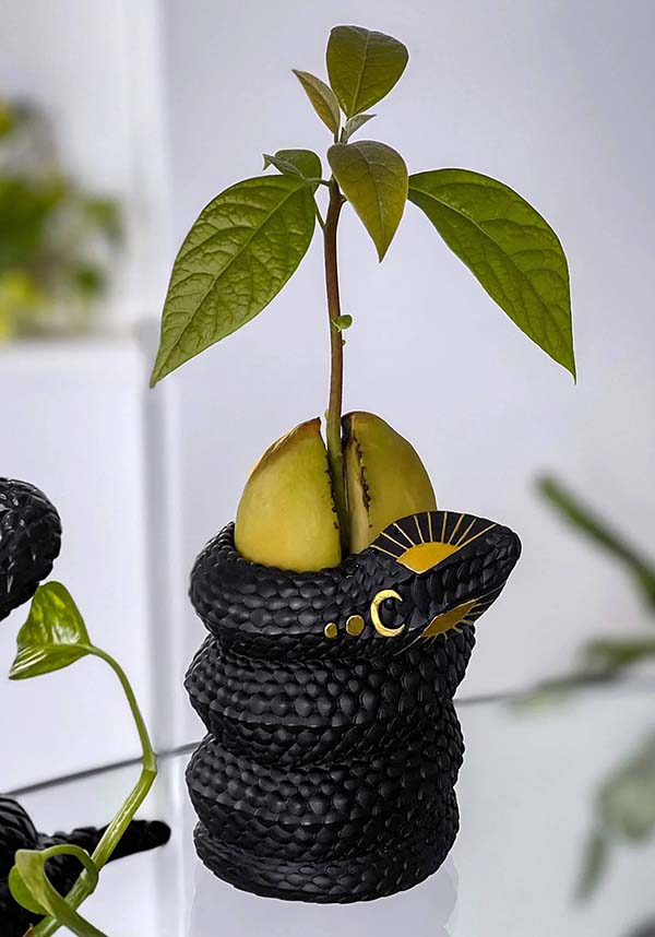 Serpentina Bud | VASE*