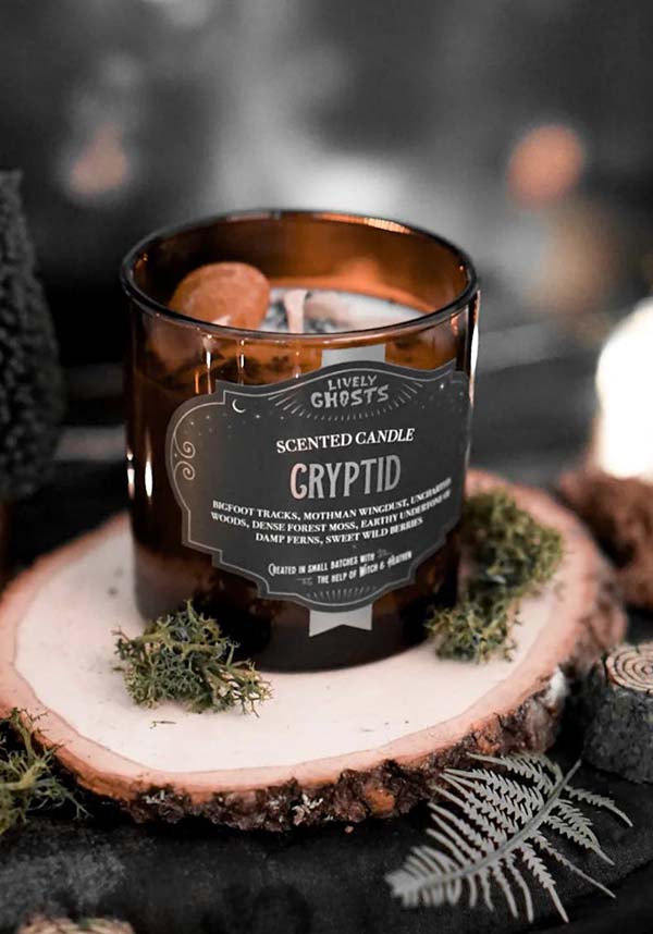 Cryptid | CANDLE