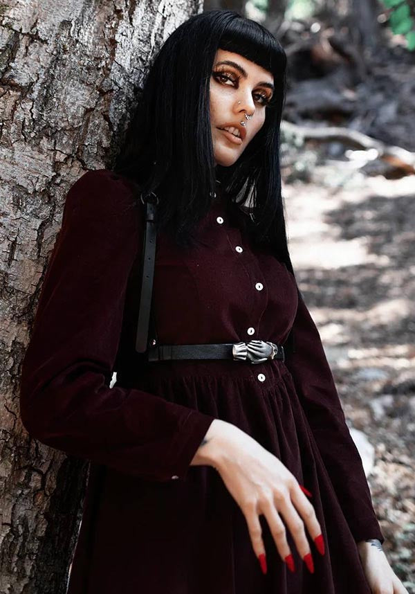 Dearly Departed | HARNESS