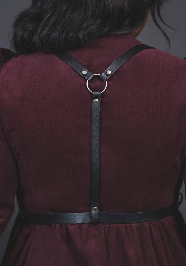 Dearly Departed | HARNESS