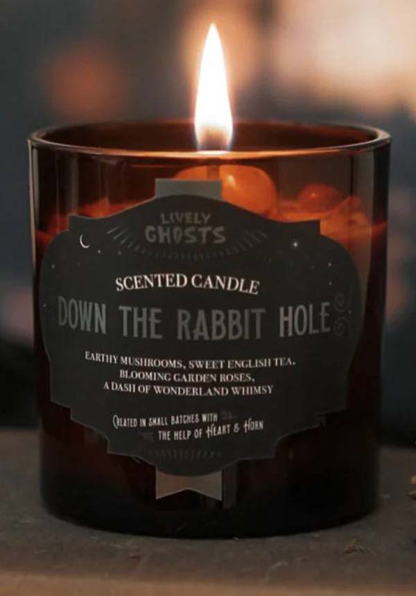 Down the Rabbit Hole | CANDLE