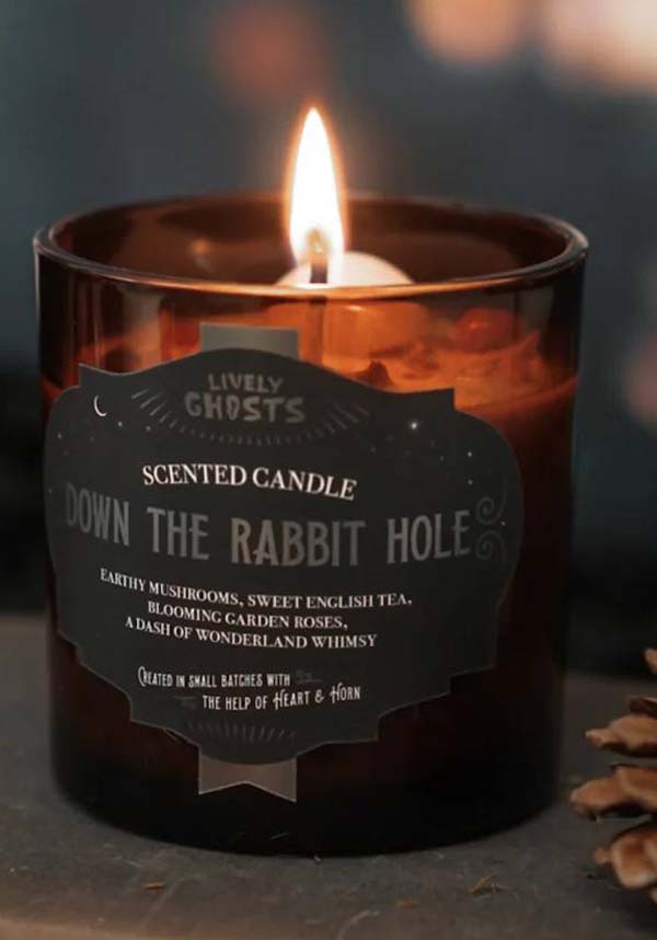 Down the Rabbit Hole | CANDLE