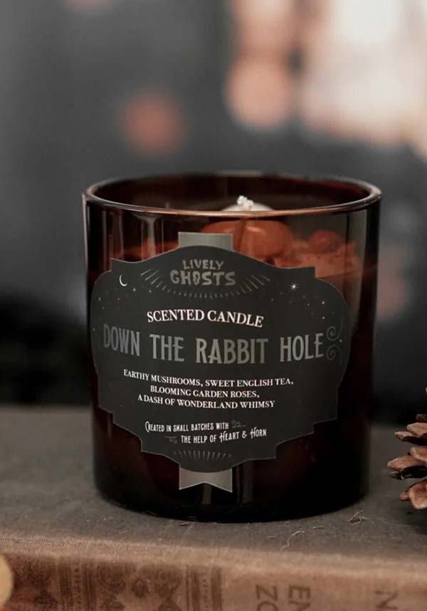 Down the Rabbit Hole | CANDLE