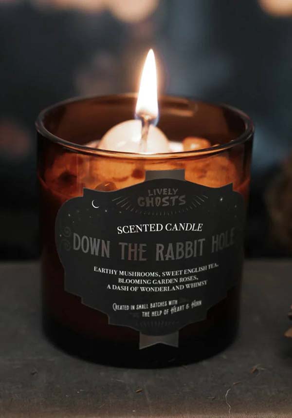 Down the Rabbit Hole | CANDLE
