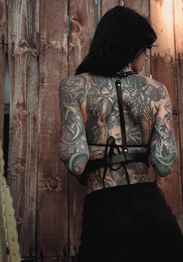 Midnight Rider | HARNESS