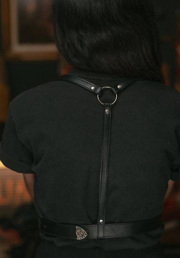 Midnight Rider | HARNESS