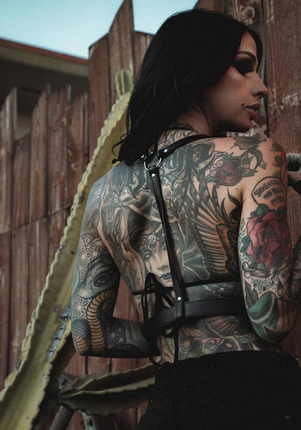 Midnight Rider | HARNESS