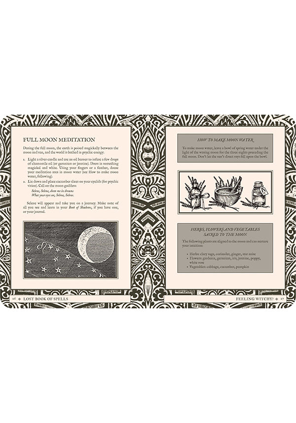 Collectables Lost Book of Spells - Image 12