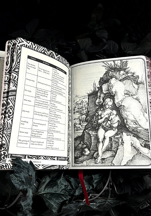 Collectables Lost Book of Spells - Back View